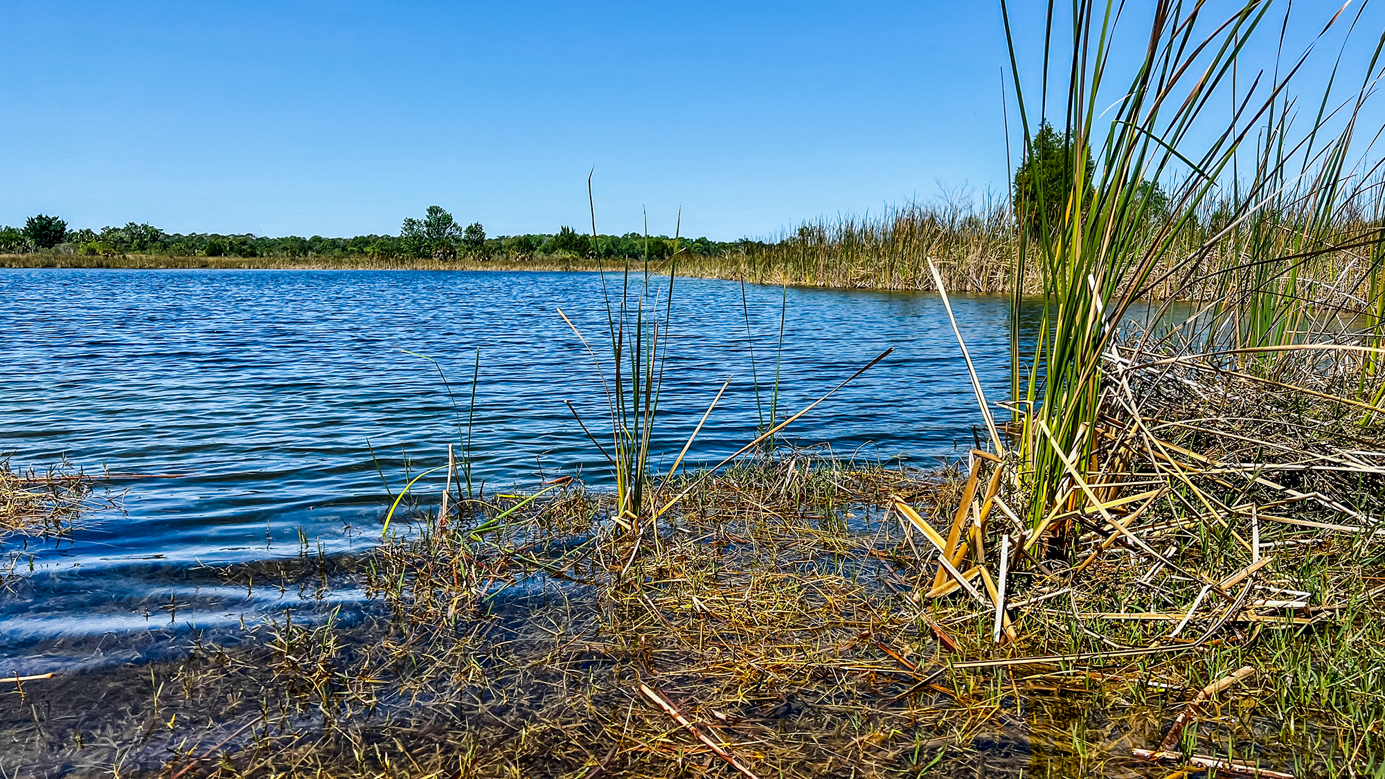 Weeki Wachee Preserve