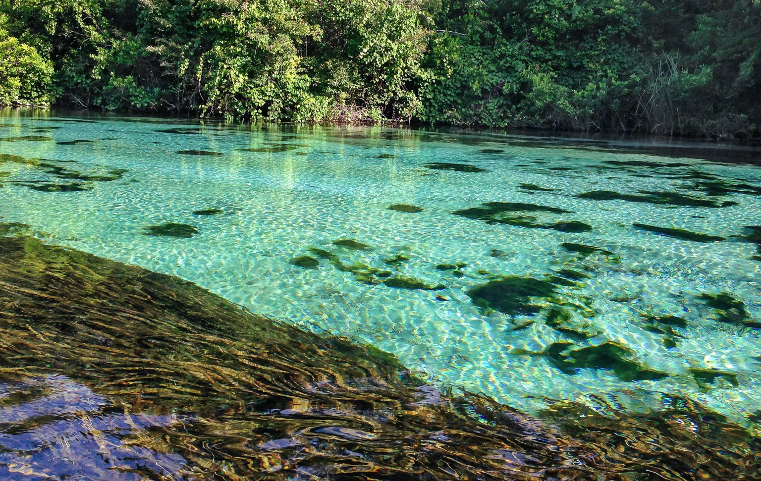 Weeki Wachee River Hernando Beach Visitor Guide