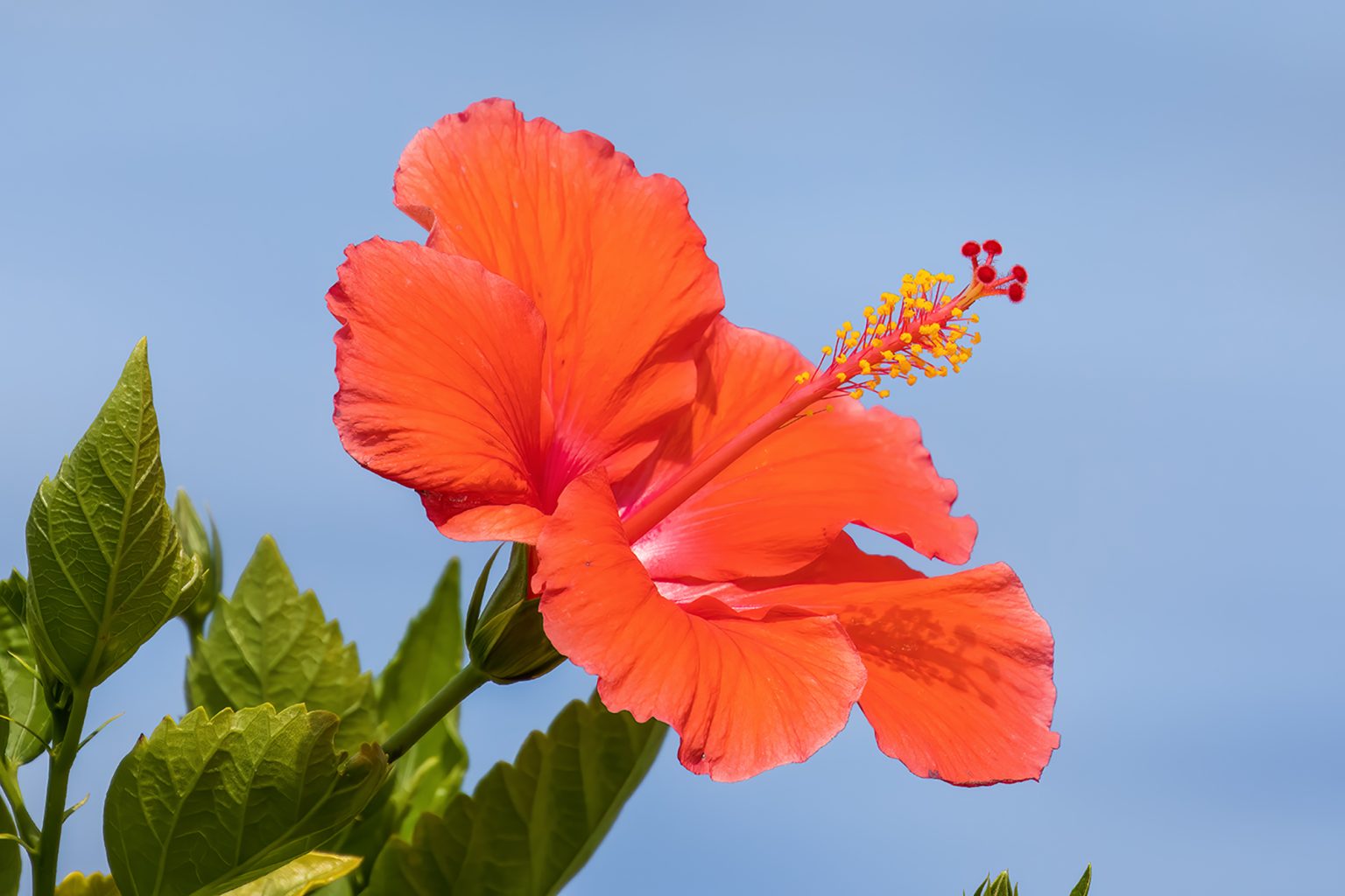 Photo Gallery of Hernando Beach FL The Complete Visitor Guide