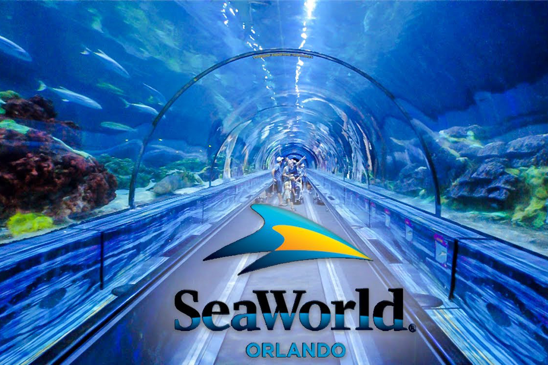 SeaWorld Orlando Florida