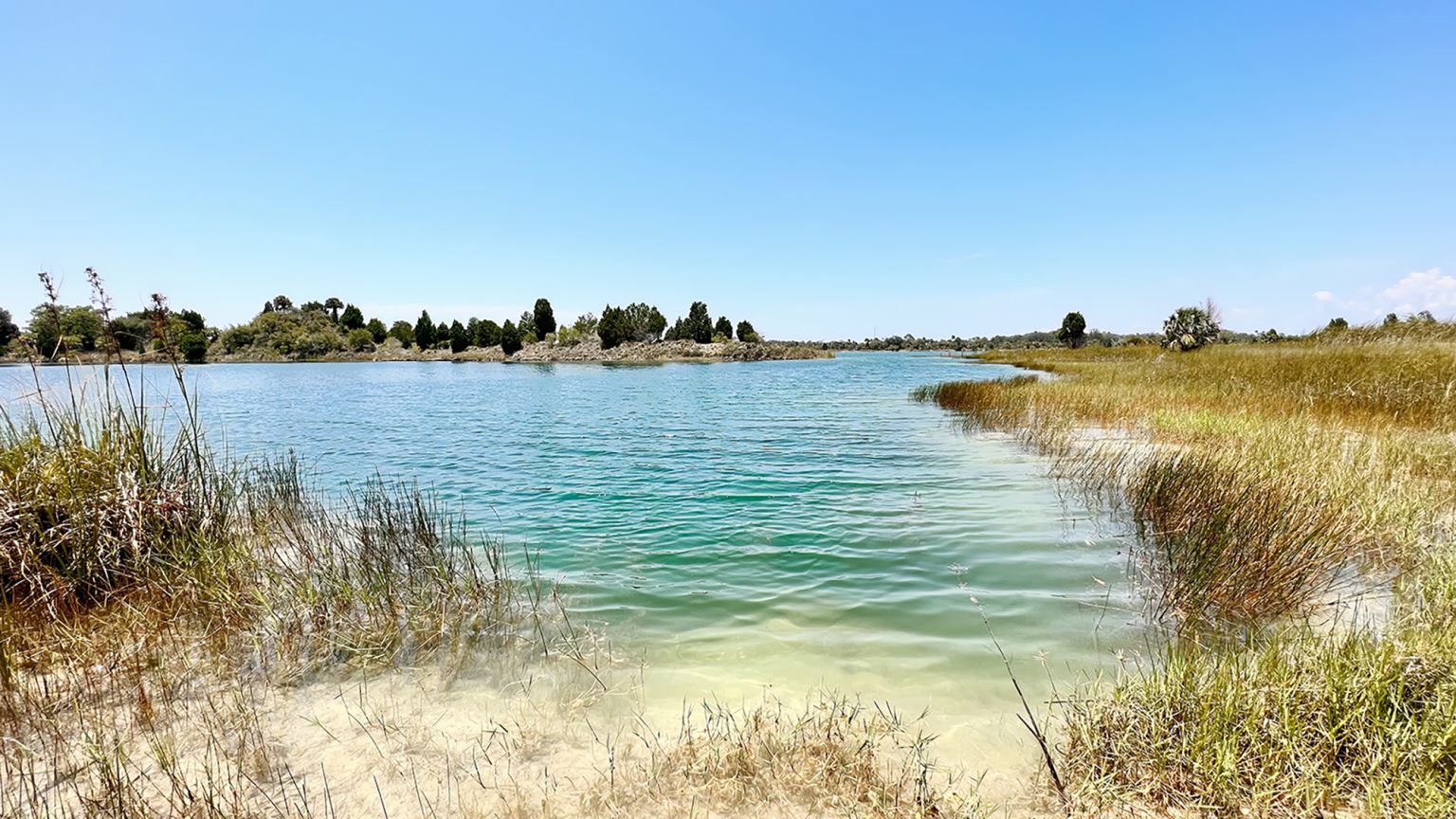 Weeki Wachee Preserve | Hernando Beach | Visitor Guide