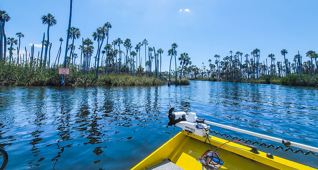 Hernando Beach Charters