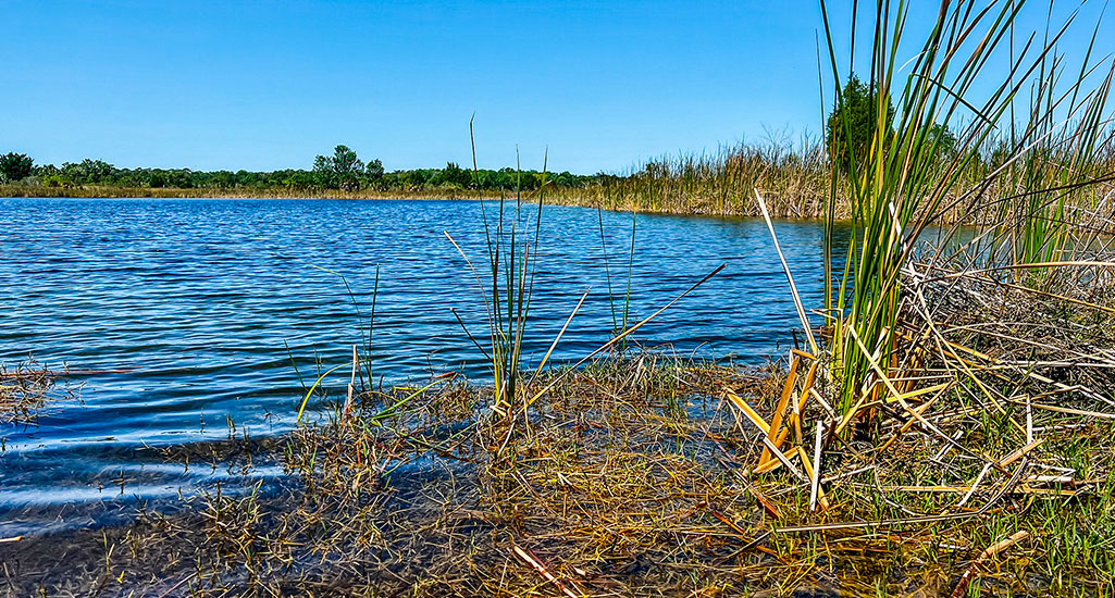 Weeki Wachee Preserve